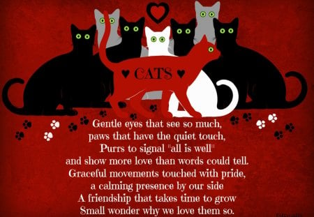 ♥     Cats Poem     ♥ - white cat, meow, purr, black cat, love, paws, cat, grey cat, cats, poem, gentle eyes, animals