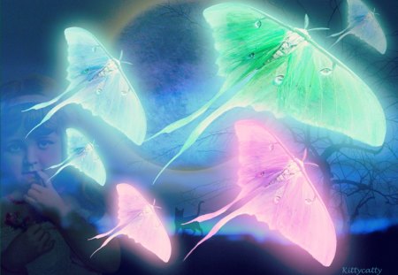 ♥     Ƹ̴Ӂ̴Ʒ Butterfly Dreams Ƹ̴Ӂ̴Ʒ     ♥ - abstract, moon, blue night, butterflies, girl, night, magical, dream, cat, dreams, fantasy, butterfly