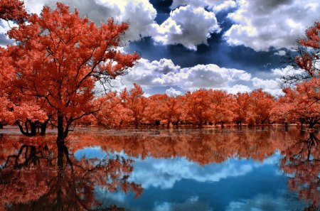 Landscape trees - clear, beautiful, river, lakeshore, nature, crystal, colorful, red, water, landscape, serenity, shore, lake, sky, nice, clouds, riverbank, trees, colors, calm