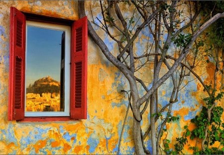 Window - glass, flower, flowers, window, sunlight, tulip, house, tree, nature, autumn, window sill