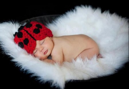 Precious Sleeping Baby Ladybug - ladybug, sleeping, people, baby, white fur