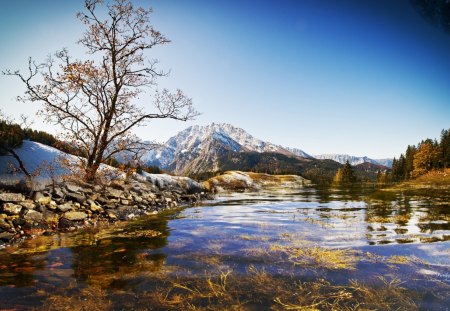 *** Quiet river and lone tree *** - gory, natura, drzewo, rzeka