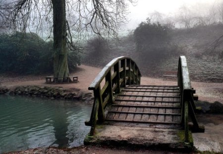 Park Bridge - dust, wooden, water, autumn, creek, tree