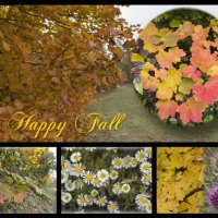 ~ â™¥áƒ¦ Happy Fall  áƒ¦â™¥ ~ to my special friend softwind