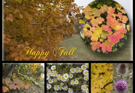 ~ â™¥áƒ¦ Happy Fall  áƒ¦â™¥ ~ to my special friend softwind - nature, fall, collage, friend