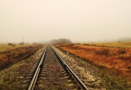 Road - way, nature, road, mist