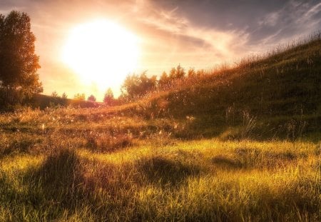 Sunshine - nature, sunshine, grass, sun