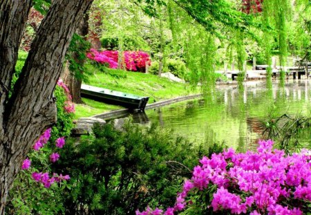 Green reflections - pretty, calm, summer, bushes, willow, reflection, flowers, shore, lake, nice, greenery, branches, beautiful, pond, mirrored, lovely, pier, lakeshore, nature, tranquility, green, serenity, park