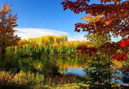 Calm autumn lake - calm, pretty, falling, trees, branches, beautiful, lovely, fall, river, nature, riverbank, autumn, waters, lake, nice, foliage