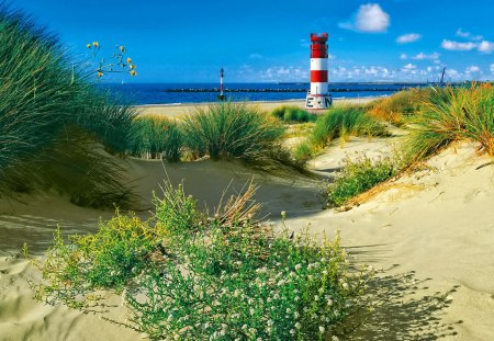 Sandy dunes - nice, sky, beach, water, pretty, clouds, green, sunny, grass, sands, ocean, lighthouse, seascape, summer, shore, dunes, lovely, bushes, nature, blue, beautiful, sea