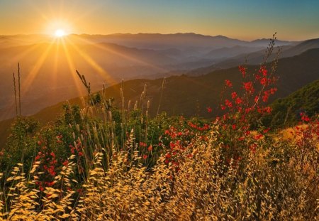 Sunrise - slayers, wild, mountains, grasses, sunrise