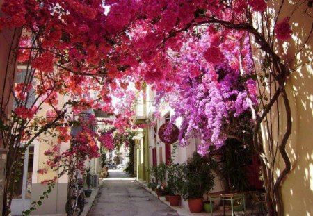 Street scene - architecture, street, italy, scene