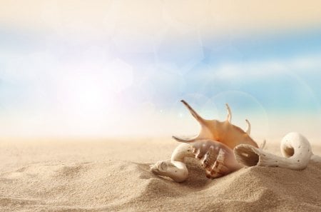 treasures of deep ocean - pretty, fantastic, summer, amazing, beach, great, sand, shell, stunning, treasure, nice, outstanding, super, abstract, treasures of deep ocean, beautiful, photography, sea, ocean, wonderful, shells, marvellous, picture, awesome, skyphoenixx1, waves, adorable, wallpaper