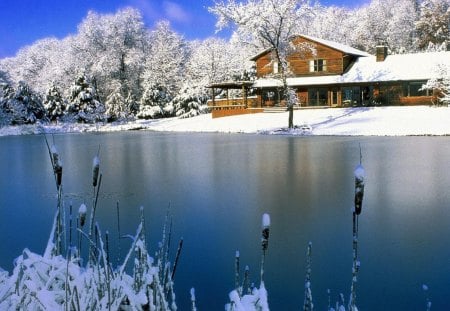 lakehouse in winter - house, trees, winter, reeds, lake