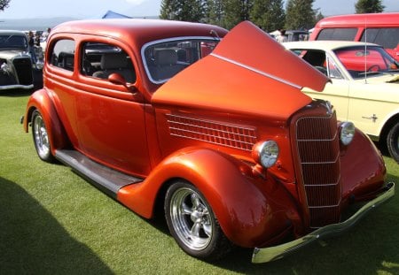 1934 Ford Model B - trees, tires, headlights, photography, gold, grass, black, Ford, green