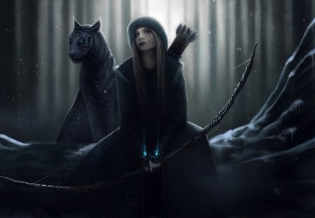 Shadow hunter - picture, 04, 11, 2012, fantasy, shadow, hunter