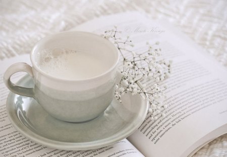 Day Dreamer's Milk - milk, white, cup, book