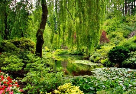 Garden in greenery - nice, peaceful, greenery, water, calm, pretty, reflection, green, garden, pond, grass, harmony, lake, park, summer, shore, lovely, serenity, willow, nature, tranquility, beautiful, flowers