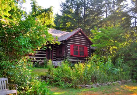 Forest house - cottage, nice, sky, hidden, greenery, colorful, countryside, path, pretty, green, house, grass, relax, wooden, summer, place, lovely, bushes, nature, forest, red, beautiful, rest, cabin