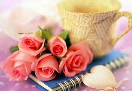 pink rose - book, cup, pretty, pink rose