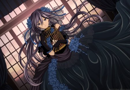 Alice - beauty, black dress, girl, bride, rose, vampire, fantasy, gloves, cage, alice, pandora hearts, castle, blue, anime, flower, manga