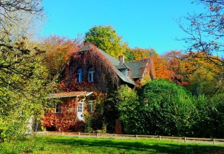 cottage romance - cottage, wood, green, sky