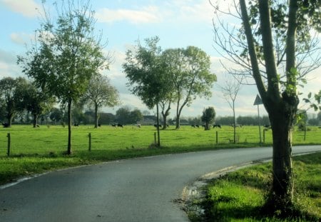 On the road - nature, sky, trees, clouds, blue, green, road, path