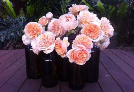 Amazing peach rosesâ™¥ - roses, incredible, peach, centerpiece, nature, amazing, arrangement, scent, flowers, love forever