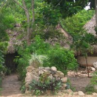 Mayan Village