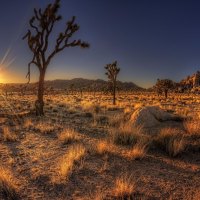 Arizona Sunset