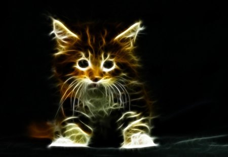 Little Kitten-Fractalized - fractal, cat, animals, cats, kitten