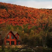 Home in Autumn