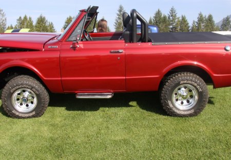 1974 Chevy Blazer 396 - chevrolet, trees, truck, photography, tires, black, red, green, grass