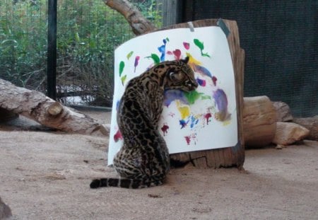 Ocelot Artist at work - zoo, ocelot, painting, cat