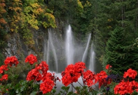 Forest Falls - pine, red, forest, greenery, flowers, waterfall, nature