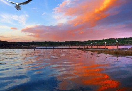 SUNSET AT MALABAR - reflections, water, sunset, seagull