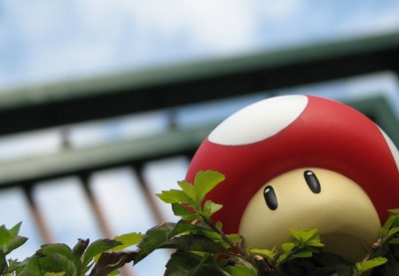 Mushroom - power up, mushroom, fence, spot, mario, game, red, grass, grow big