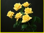 YELLOW ROSES