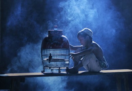 Morning Song - boy, bird, cage, morning, song