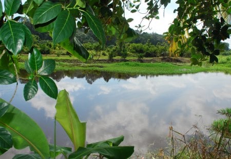 Nature - lakes, tropics, water, scenenery