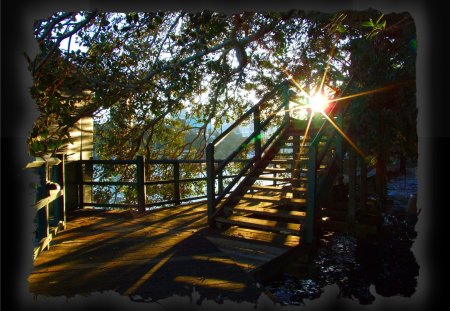 IN THE SHADOWS - steps, black, sunlight, trees