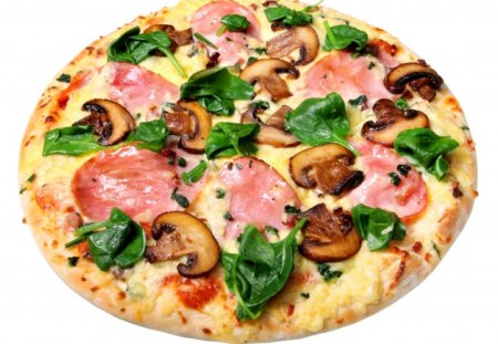 PIZZA - nice, fast, chicken, cool, hot, food