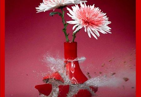 EXPLOSION OF FLOWERS - pot, rouge, eau, fleurs