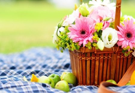 Basket - love, gerbers, picnic, basket, lovely, apples, blanket, nature, gerbera, pink, blue, beautiful, color, flowers, checkered, flower