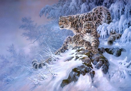 Snow Leopards - nature, painting, predator, cats, winter