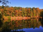 Reflections of Autumn