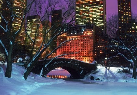 Central_Park_Winter - nice, winter, lovely, park