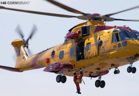 Cormorant - ehichi, cormorant, helicopter, 149, crew