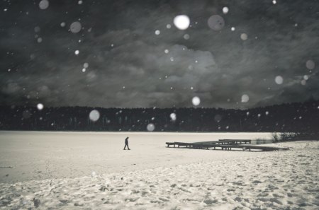 lonely winter - lonely, winter, desktop, wallpaper