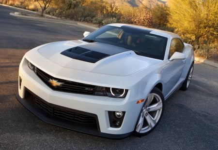 Zl1 camaro - zl1, chevrolet, ss, camaro